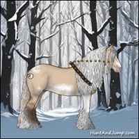 Horse Color:Silver Bay Dun Sabino Tobiano Frame Rabicano 