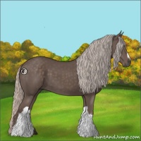 Horse Color:Silver Black 