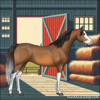 Horse Color:Buckskin Splash 