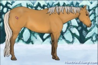 Horse Color:Silver Buckskin 