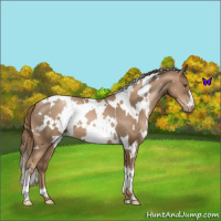 Horse Color:White Spotted Liver Chestnut Pearl 