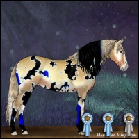 Horse Color:Watercolor White Spotted Palomino Onyx Sabino Rabicano