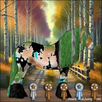 Horse Color:Watercolor White Spotted Brown Onyx 