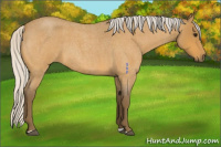 Horse Color:Silver Buckskin Roan 