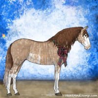 Horse Color:Red Dun Splash  and Red Dun Splash 