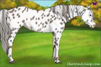 Horse Color:Liver Red Dun Mushroom Near Leopard 