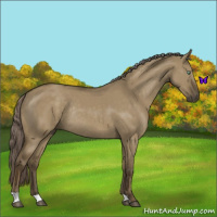 Horse Color:Chocolate Palomino Dun Mushroom Rabicano