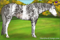 Horse Color:White Spotted Liver Chestnut Mushroom 
