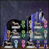 Horse Color:Watercolor White Spotted Brown Onyx Appaloosa 