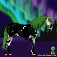 Horse Color:Watercolor Liver Red Onyx Sabino Appaloosa 