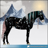 Horse Color:Watercolor Liver Red Onyx Sabino Appaloosa 