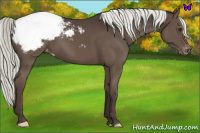 Horse Color:Liver Chestnut Mushroom Snowcap 