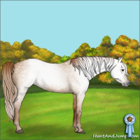Horse Color:Gray Red Dun 