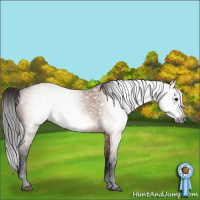 Horse Color:Gray Bay Dun Frame