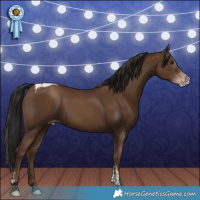 Horse Color:Gray Classic Champagne Tobiano 