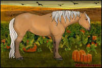 Horse Color:Silver Buckskin 