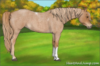 Horse Color:Red Roan Tobiano 