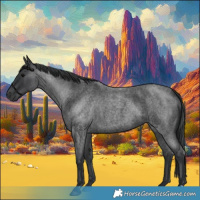 Horse Color:Blue Roan 