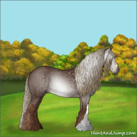 Horse Color:Gray Chestnut 