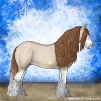 Horse Color:Red Dun Roan Splash Frame Rabicano 