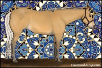 Horse Color:Silver Buckskin 