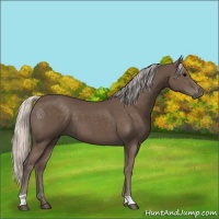 Horse Color:Silver Black 