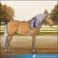 Horse Color:Silver Buckskin 