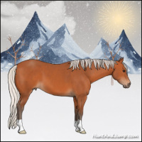 Horse Color:Silver Bay 