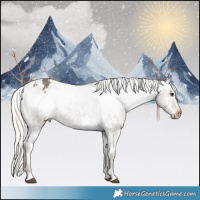 Horse Color:White Spotted Silver Black Varnish 