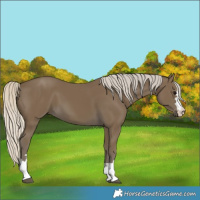 Horse Color:Silver Smoky Black 