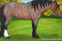 Horse Color:Brown Roan Sabino 