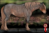 Horse Color:Liver Red Roan 