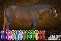 Horse Color:Liver Red Roan Sabino 