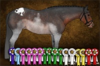 Horse Color:Brown Roan Appaloosa Rabicano