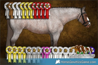 Horse Color:Liver Red Roan Appaloosa