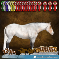 Horse Color:Silver Buckskin Roan 