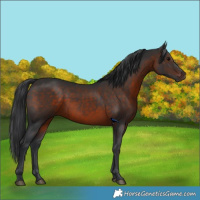 Horse Color:Brown 