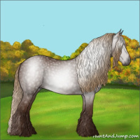 Horse Color:Gray Chestnut 