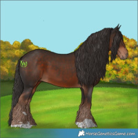 Horse Color:Liver Chestnut 