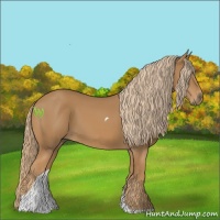 Horse Color:Chestnut Tobiano 