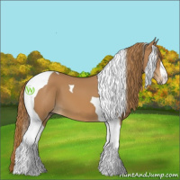 Horse Color:Chestnut Tobiano 