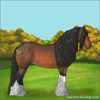 Horse Color:Bay Tobiano 