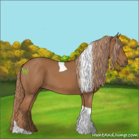 Horse Color:Chestnut Tobiano 