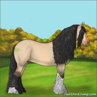 Horse Color:Bay Dun Tobiano 