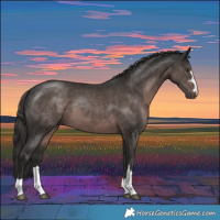 Horse Color:Platinum Liver Chestnut 