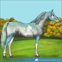 Horse Color:Watercolor White Spotted Silver Brown Onyx 