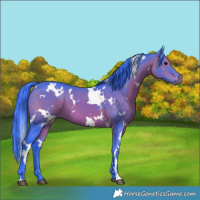 Horse Color:Watercolor White Spotted Brown 