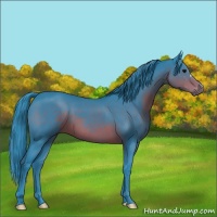 Horse Color:Watercolor Brown 