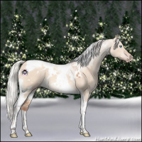 Horse Color:White Spotted Silver Classic Champagne Dun Tobiano 