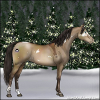 Horse Color:Gray White Spotted Brown Pearl Dun Tobiano 